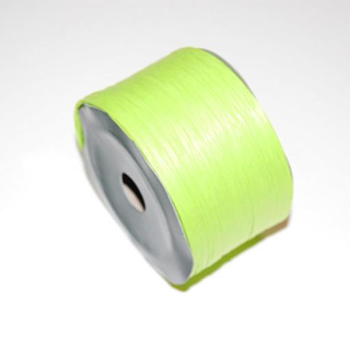 Apple Green Raffia Ribbon 100m