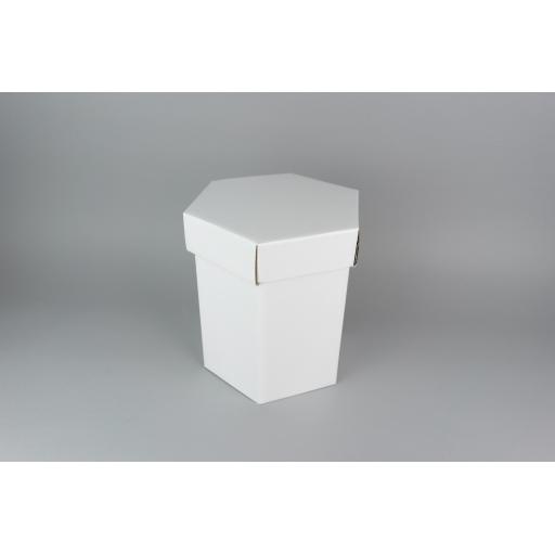Hat Box 14 x 8 1/2" (350 x 216) WHITE