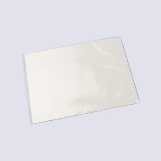 Clear Faced Film Front Bag with Pearlised Back