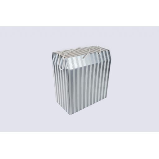 Cord Carry-Handle Box 350 x 190 x 375mm Silver and White
