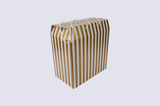 Cord Carry-Handle Box 400 x 195 x 500mm Gold and White