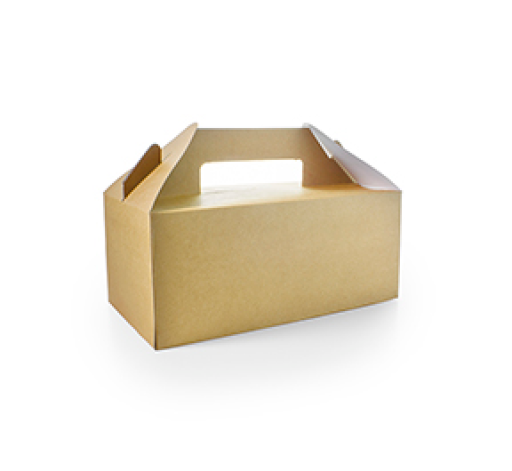 Small Recycled Lunch Box 225 x 120 x 95mm