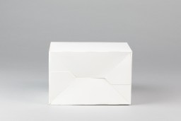 https://thebagnboxman-static.myshopblocks.com/images/import/plain-white-lunch-box-152x100x102mm-LB6-2.jpg