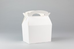 https://thebagnboxman-static.myshopblocks.com/images/import/plain-white-lunch-box-152x100x102mm-LB6-3.jpg