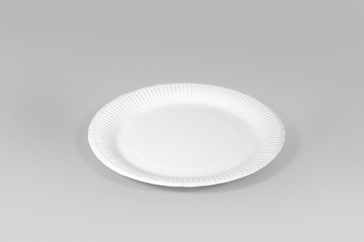 Paper Plates 230mm 280gsm