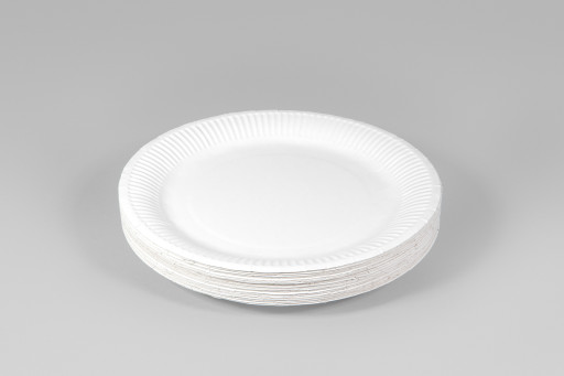 Paper Plates 230mm 280gsm